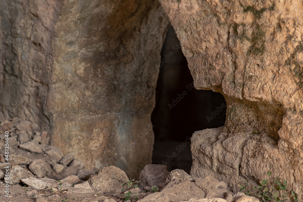 entrance to the dungeon in an ancient ruins entrance to the dungeon in an ancient ruins
