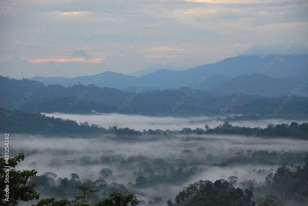 Morning fog lying above the mysty rainforest at sunrise