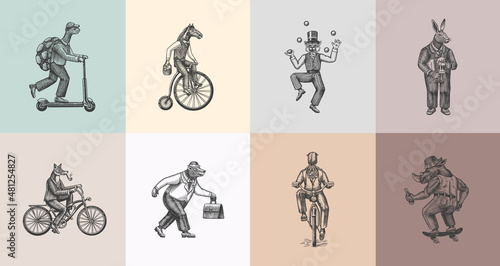 Fox on a bicycle, Cat juggler, turtle on a scooter. Bear, horse, hare, Owl, Squid. Fashion Animal characters set. Hand drawn sketch. Vector engraved illustration for label, logo and T-shirts. photo