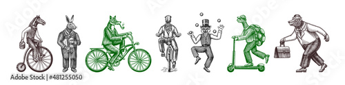 Fox on a bicycle, Cat juggler, turtle on a scooter. Bear, horse, hare, Owl, Squid. Fashion Animal characters set. Hand drawn sketch. Vector engraved illustration for label, logo and T-shirts.