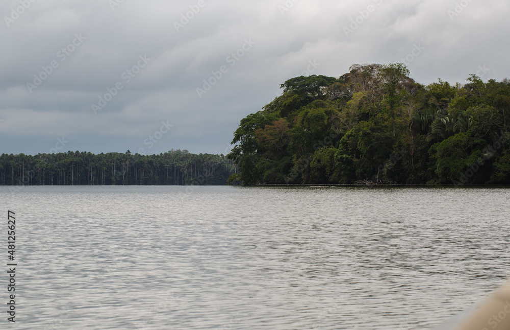 Landscape of the Amazon jungle, in Lago Sandoval, Tambopata, Peru