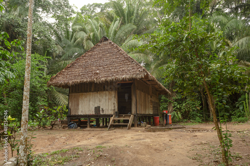 Traditional house of the Amazon jungle, in Madre de Dios, Peru