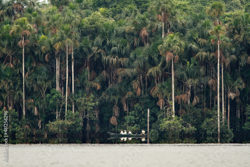 Landscape of the Amazon jungle, in Lago Sandoval, Tambopata, Peru photo