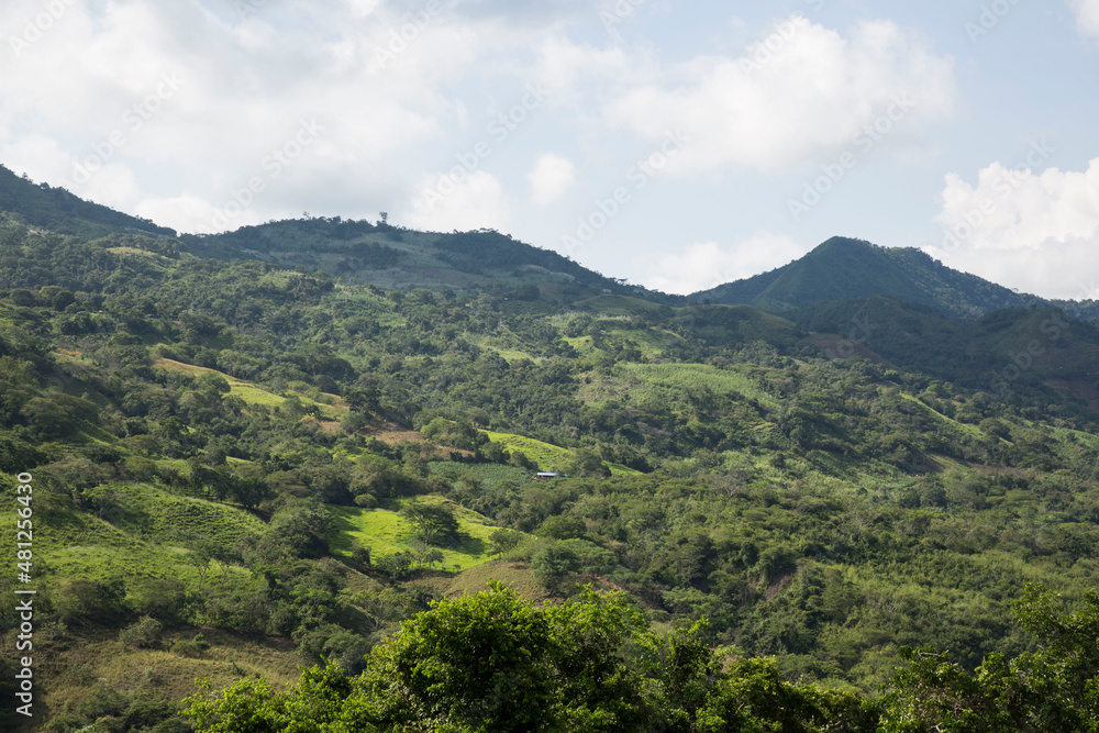 Obraz premium landscape with clouds