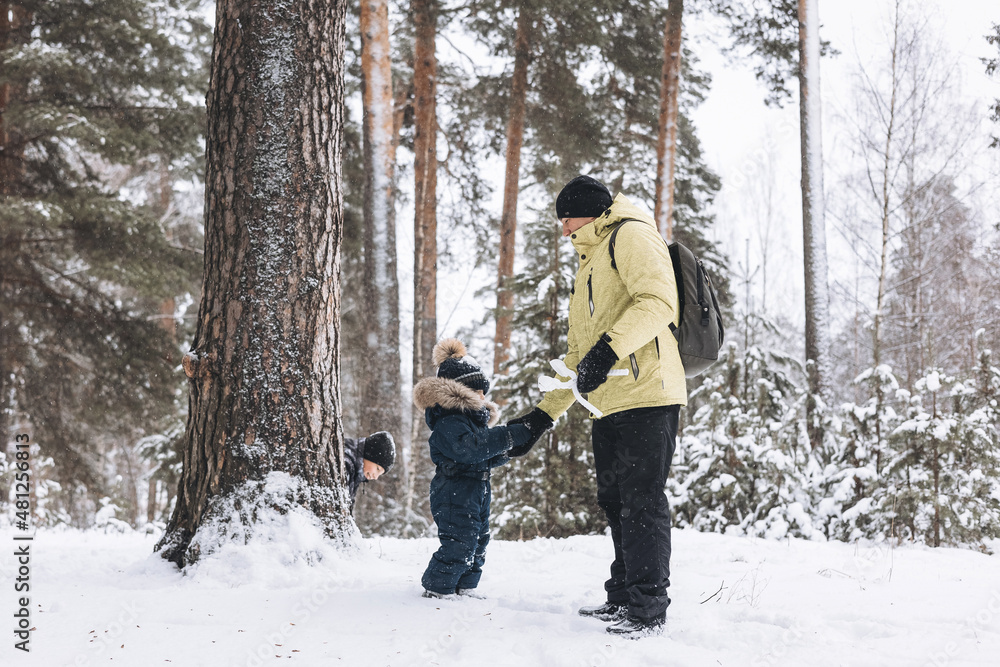 Father and sons having fun snowball fight together in winter forest. Happy children playing in snow outdoors. Christmas holidays, New year family vacation. Brothers in warm clothes walking in cold day