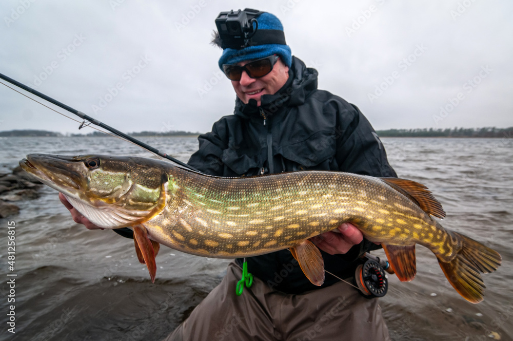 Angler with winter pike caught on fly rod Angler with winter pike caught on fly rod