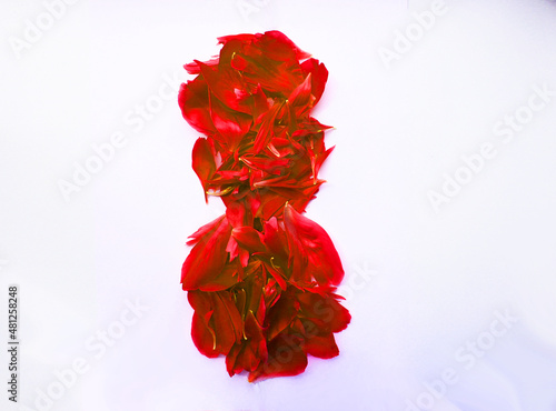 March 8 from flower petals on a white background. congratulations postcard holiday. floral leaves on the table for the holiday .. postcard  congratulations to March 8. women s Day. valentine s day