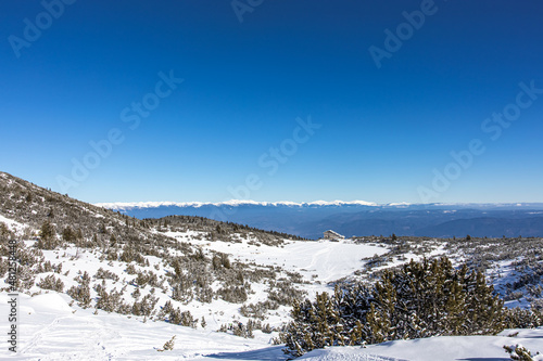 Stunning mountain hill in Bulgaria. Covered with white snow mountain top. Trees are covered under it. Blue skies above. High quality photo