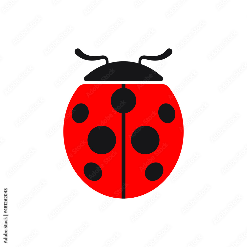 Fototapeta premium Cute ladybug or ladybird simple flat design red and black. Vector illustration isolated on white background.