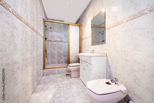Toilet with pink porcelain toilets, shower with golden screen and sink with veined white marble countertop