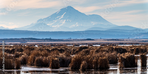 Wildlife refuge and Mount Shasta California 