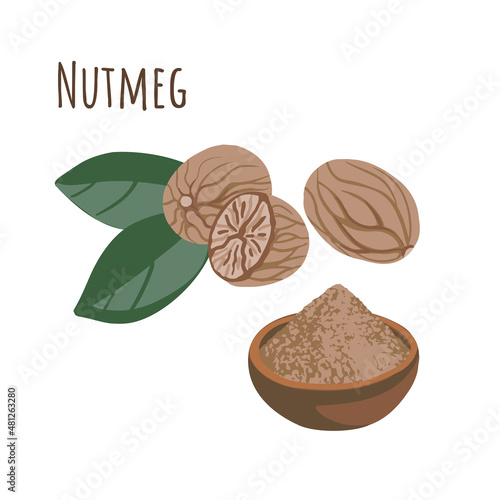 Nutmeg seasoning spice for cooking