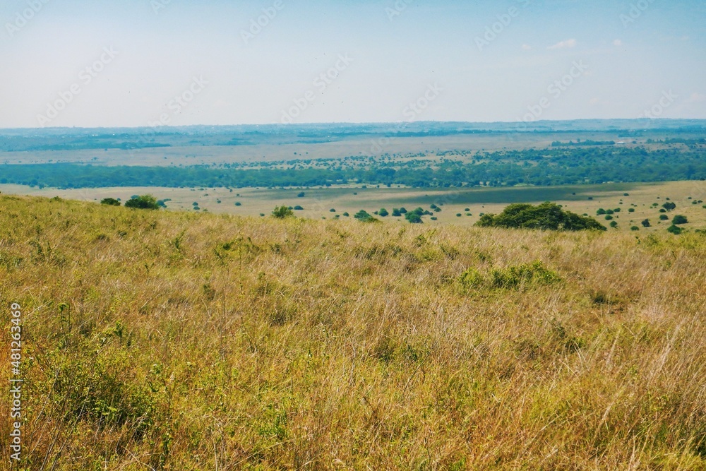 The panoramic savannah grasslands landscapes of Nairobi National Park, Kenya