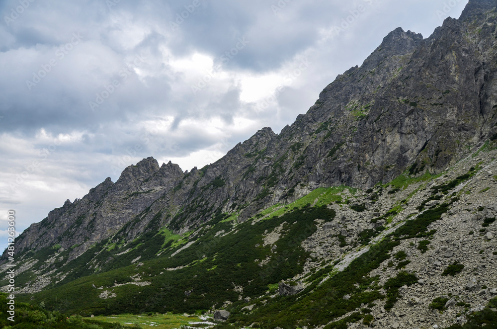 The image shows peaks and slopes with pine and limestone rocks of the High Tatra mountains in northern Slovakia