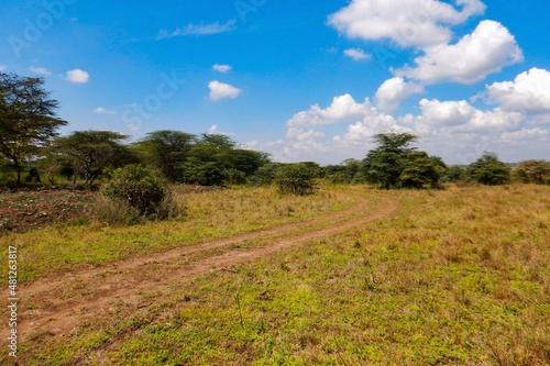 A dirt road in the panoramic savannah grassland landscapes of Nairobi National Park  Kenya 