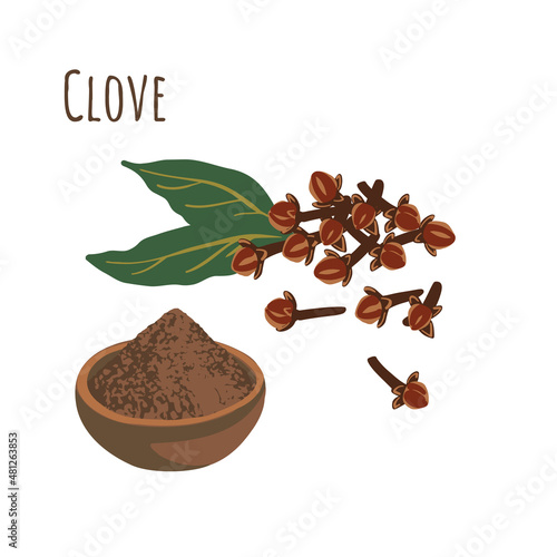 Seasoning clove spice for cooking