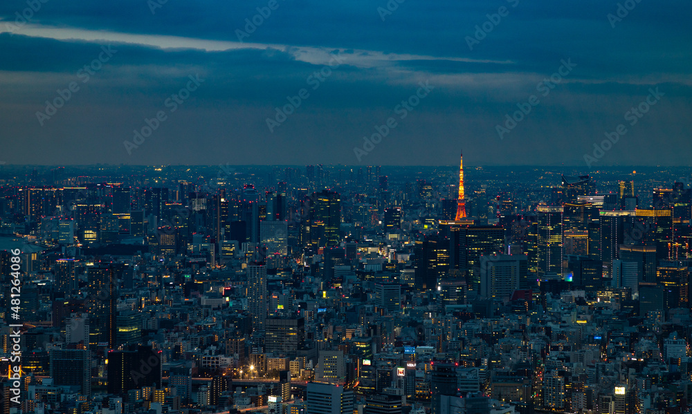 Tokyo and Tokyo Tower at Night