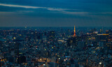 Tokyo and Tokyo Tower at Night