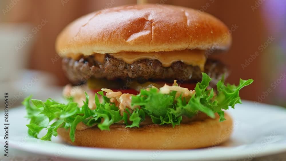 Rustic hamburger with melted cheese and beef cutlet. Rustic hamburger with melted cheese and beef cutlet.