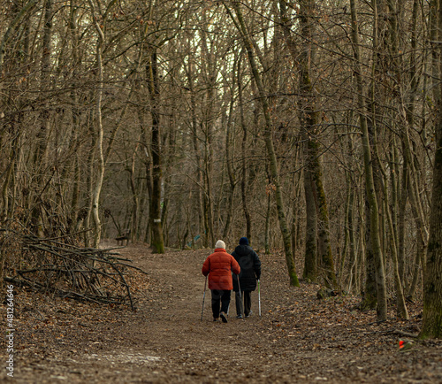 Cute aged couple nordic walking in the forest