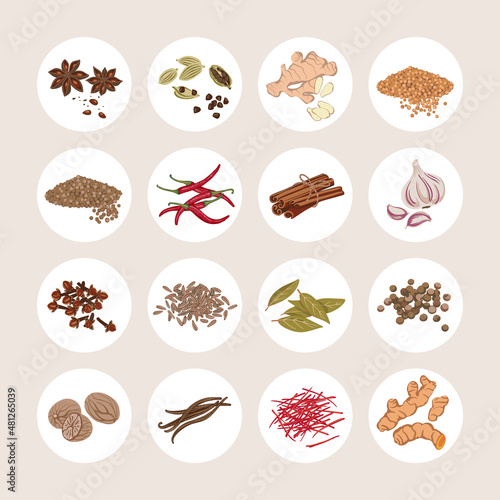 Spices set Star anise, Cardamom, Ginger, Mustard, Coriander, Coriander, Chili pepper, Cinnamon, Garlic, Clove, Caraway, Bay leaf, Allspice, Nutmeg, Vanilla, Saffron, Turmeric. Flat style.