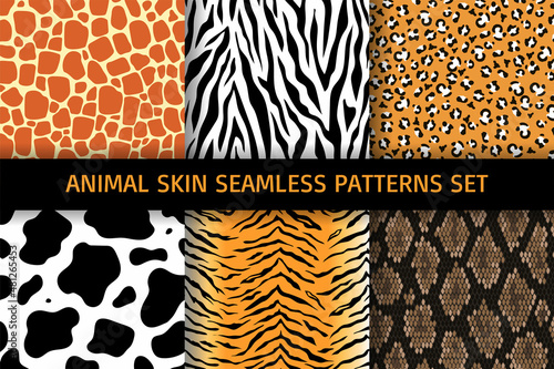 Animal skin seamless patterns set.Collection of prints.Use for wallpaper, wrapping paper, fabric.Vector illustration.