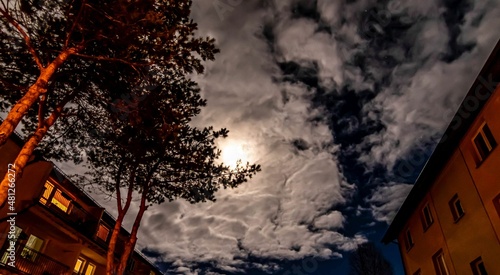 Obraz na płótnie Moon light Night w salonie