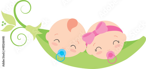 Baby Twins Sweet pea