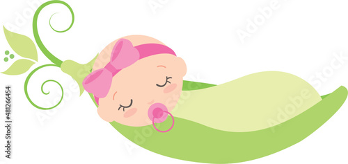 Baby Sweet pea