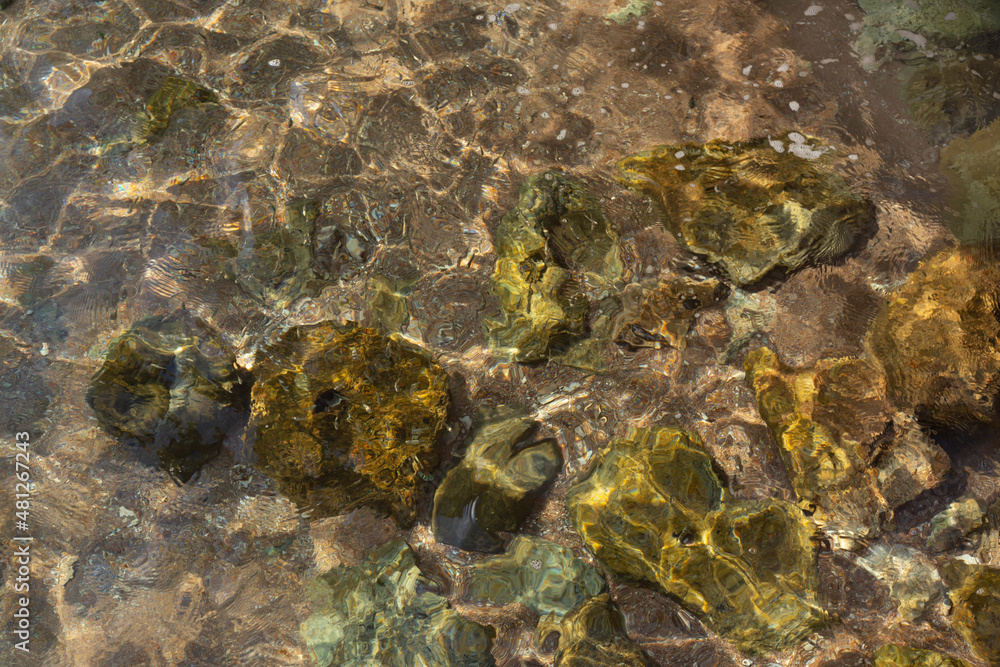 Sea rocky bottom under transparent  water. Clear lake surface rippled with sun ray reflections.