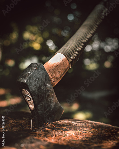 axe in the stump