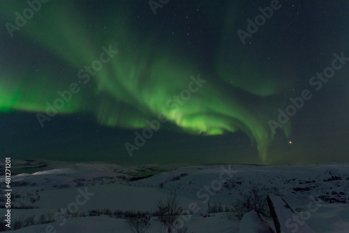 Fototapeta Naklejka Na Ścianę i Meble -  At night in winter, the tundra and the aurora borealis.