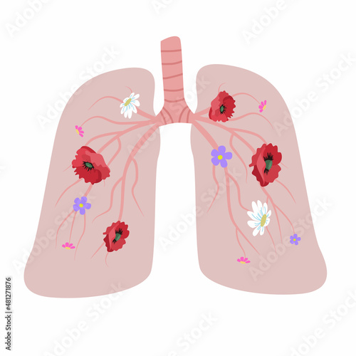 World Asthma Day. Human lungs. Concept on the theme of healthy lungs in humans.