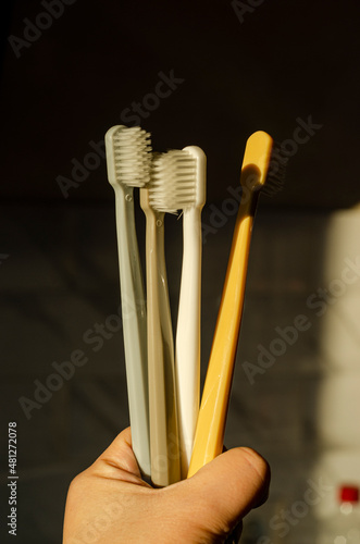 scandinavian style toothbrushes in hand