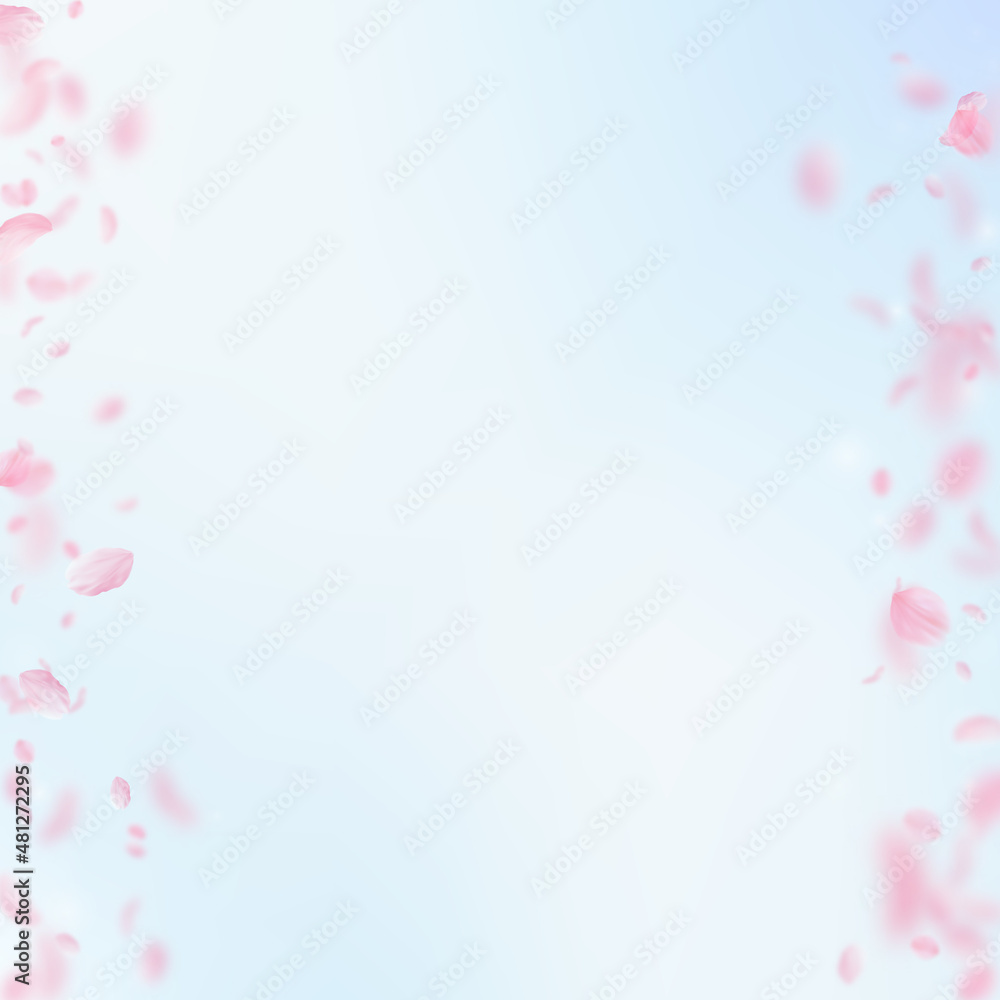Sakura petals falling down. Romantic pink flowers borders. Flying petals on blue sky square background. Love, romance concept. Neat wedding invitation.
