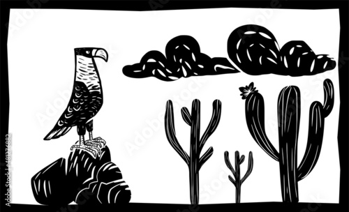 Carcará is the hawk of the Brazilian backlands. Vector in woodcut style.