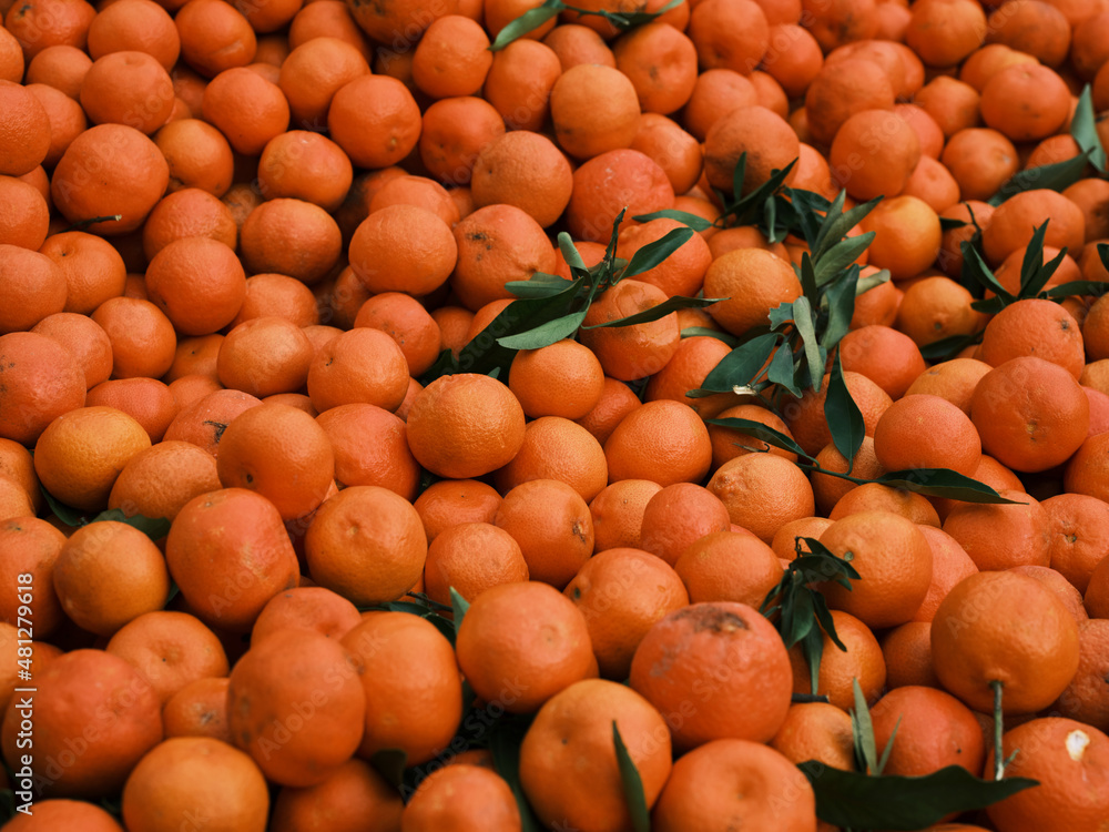 fresh tangerines in the market