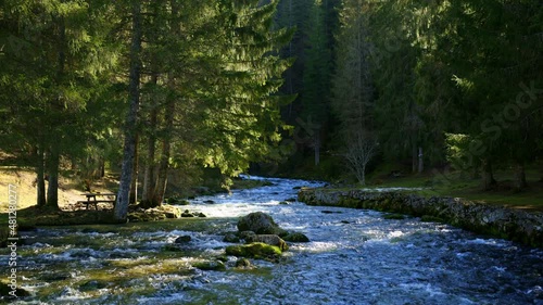 Rivière qui serpente en forêt sous les arbres. Source du Doubs, Franche-Comté, France