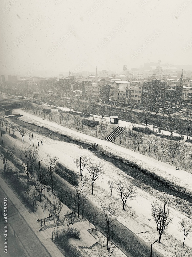 Fototapeta premium railway in winter