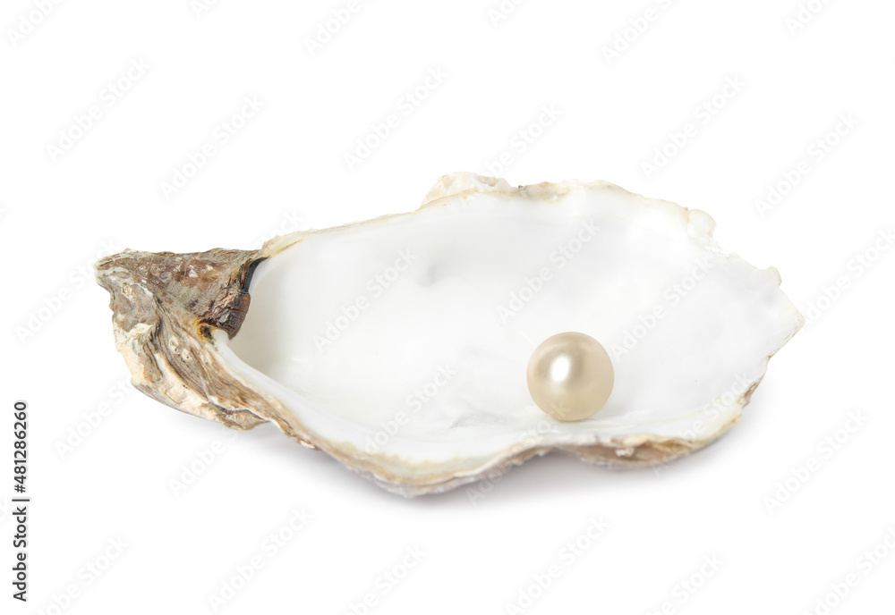 Oyster shell with pearl on white background Oyster shell with pearl on white background