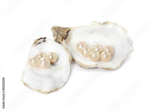 Oyster shells with pearls on white background