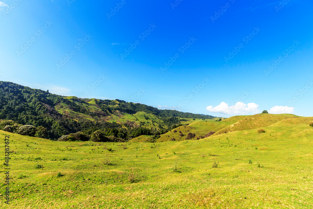 Nature green hills with blue sky in New Zealand Nature green hills with blue sky in New Zealand