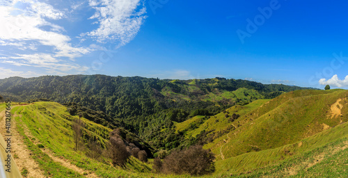 Nature green hills with blue sky in New Zealand