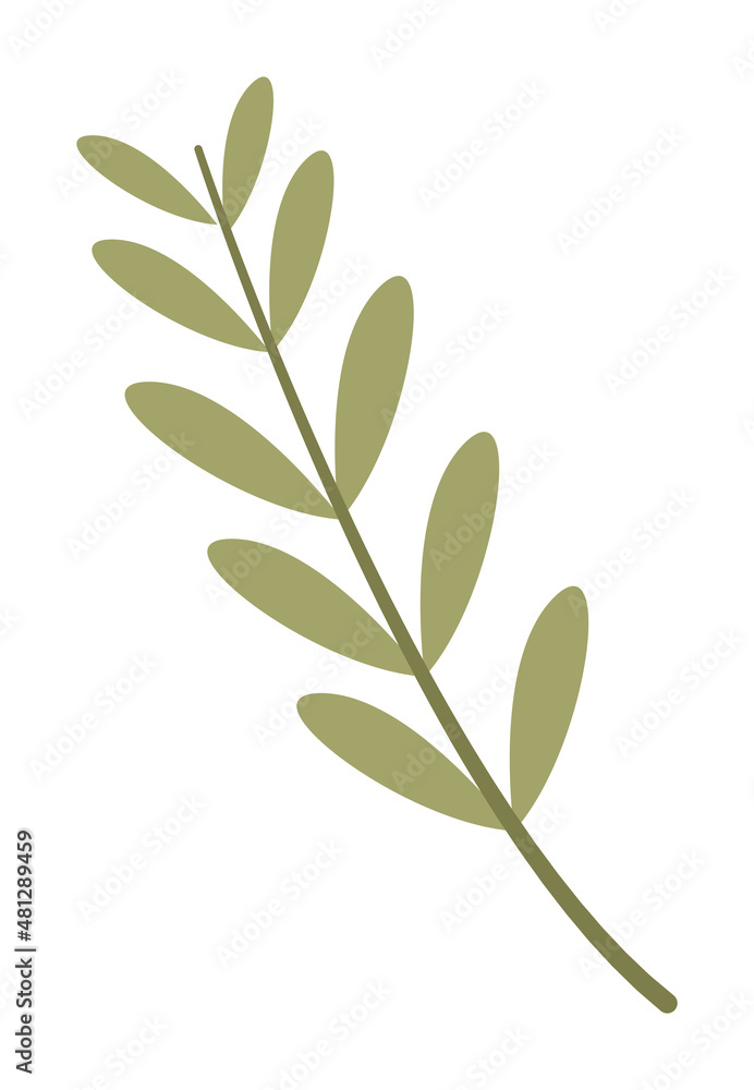 branch with leafs branch with leafs