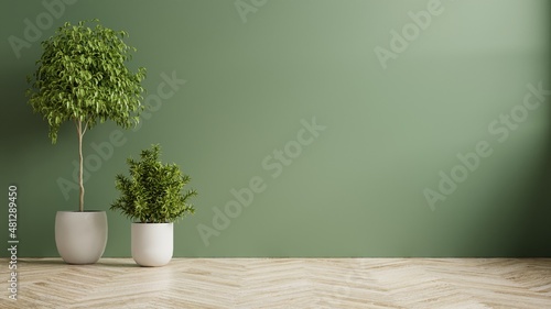 Green wall empty room with plants on a wooden floor.