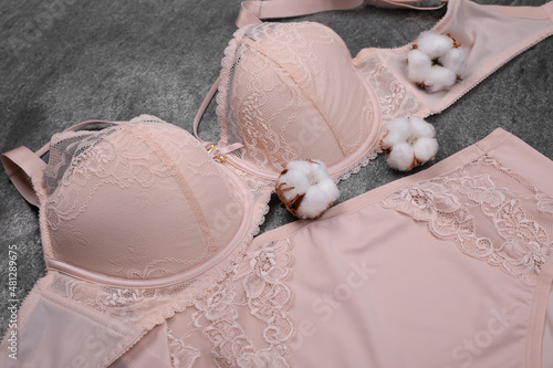 Elegant beige plus size women's underwear and cotton flowers on grey background, closeup