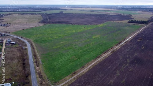 Wallpaper Mural проселочная дорога среди полей Torontodigital.ca