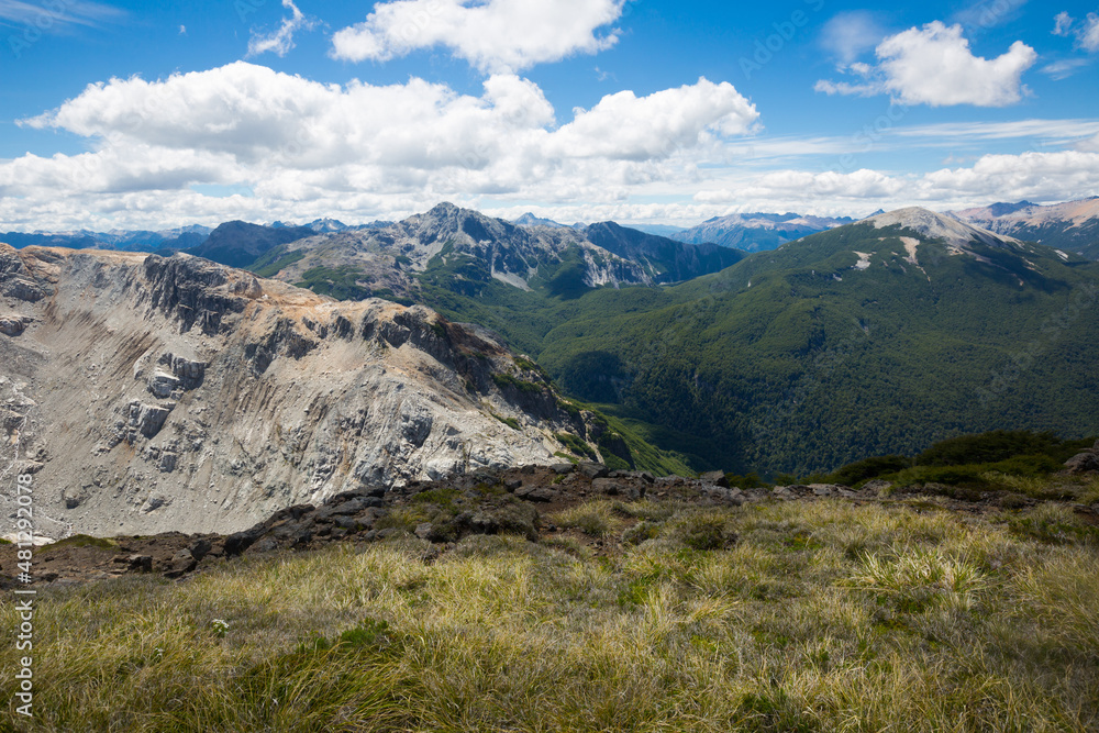 Stony landscape with flowering shrubs and mosses in the Andes Mountains in Argentina