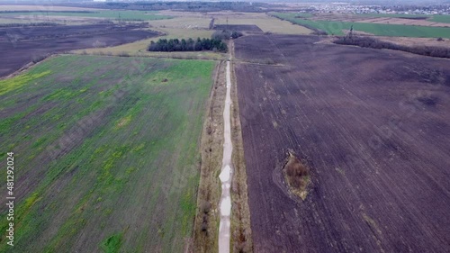 Wallpaper Mural проселочная дорога среди полей Torontodigital.ca