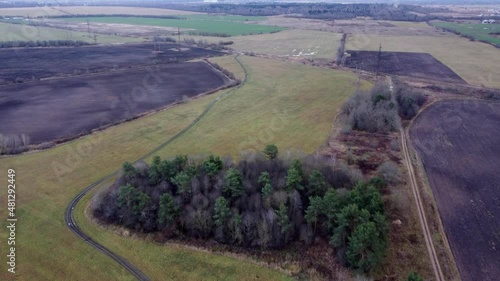 Wallpaper Mural над деревьями среди поля Torontodigital.ca